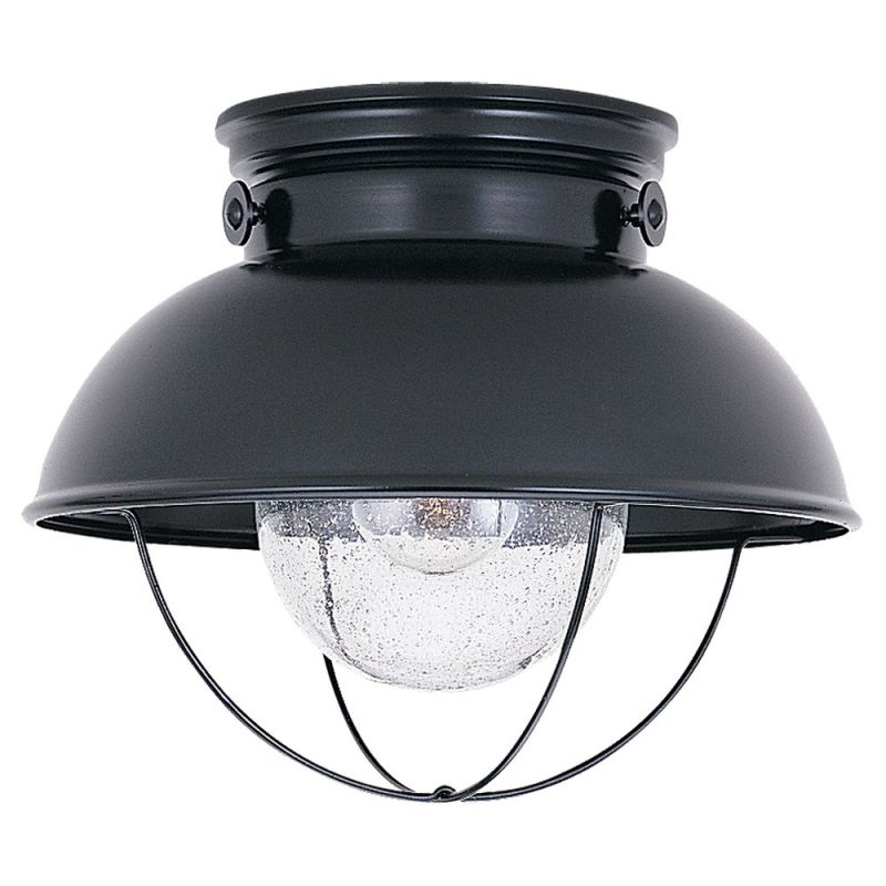 ... Light Outdoor Flush Mount Ceiling Fixture - LightingDirect.com
